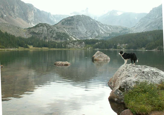 wpic860.webp