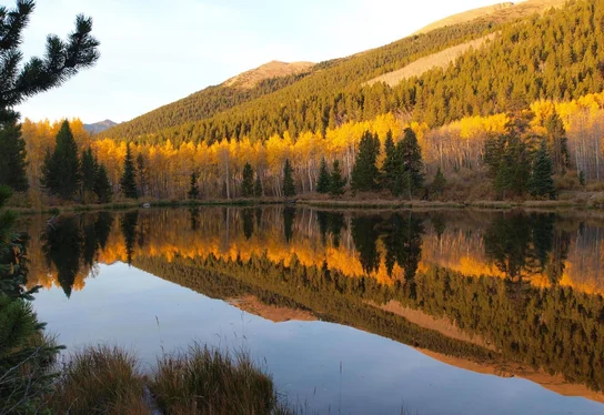 wpic170.webp