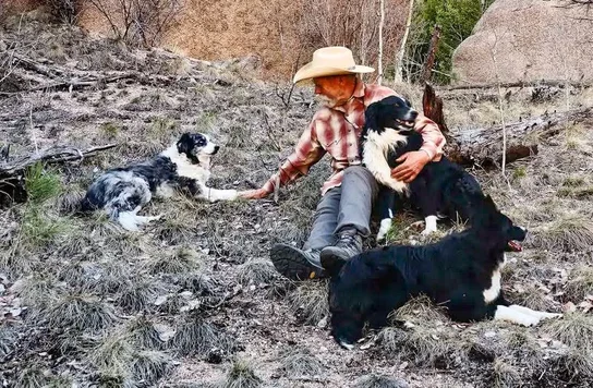 wpic150.webp