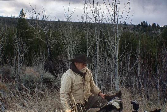 wpic250.webp