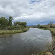 Calm river flowing through a grassy area with trees under a cloudy sky