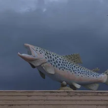 large spotted fish sculpture mounted on a wooden platform against a dark cloudy sky