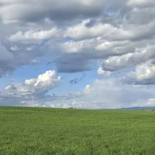 Expansive green grassy field under a sky filled with large, fluffy clouds