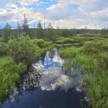 Calm reflective water surrounded by dense green vegetation and trees under a partly cloudy sky