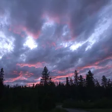 A winding path leading through a dark forest under a dramatic sky with thick clouds tinged with pink from the setting or rising sun