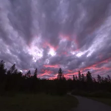 A winding path leading through a dark forest under a dramatic sky with purple and pink clouds at dusk