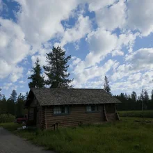 Rustic wooden cabin surrounded by grass and tall pine trees under a partly cloudy sky