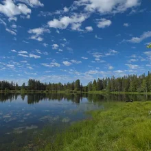 Calm lake reflecting scattered clouds and surrounded by dense trees under a bright blue sky