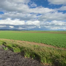 Expansive green field under a cloudy sky with patches of sunlight