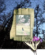 Person walking with a dog on a grassy path toward rocky terrain, framed by a cracked wooden board and accompanied by a butterfly on purple flowers