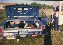 Back of a blue car with the trunk open revealing packed luggage, a person standing near a trailer door with a dog beside them, and grassy field in the background