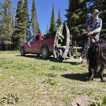 Man standing beside a red pickup truck in a forest clearing, petting a black and white dog with another black dog nearby