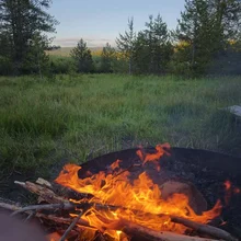 Bright flames from a campfire burning wood sticks in a grassy clearing with trees and hills in the background under a clear sky