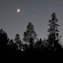 Crescent moon and a bright star visible above a silhouette of tall trees at dusk
