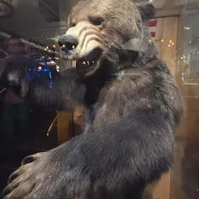 upright bear with mouth open and large paws extended forward, displayed behind glass in a wooden interior