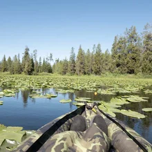 View from a kayak among water lilies on a calm lake with trees in the distance under a clear blue sky