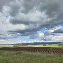 Plowed farmland with rows of soil under a cloudy sky with patches of blue and distant hills
