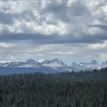 Snow-capped mountain range under a cloudy sky with a dense forest in the foreground