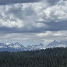 Dense forest in the foreground with snow-capped mountain peaks under a cloudy sky