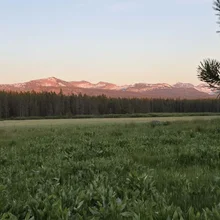 Sunlit mountain range behind a dense forest and a green field with some branches framing the right side