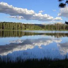 Calm lake reflecting clouds and a forested shoreline with distant mountains under a blue sky