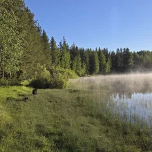 A misty lake bordered by green grass and dense trees under a clear blue sky