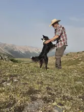 Man in a cowboy hat and plaid shirt playing with a black and white dog on a grassy mountain landscape