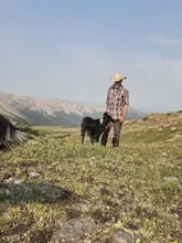 bearded man wearing a straw hat and plaid shirt standing on a grassy hillside with a black dog beside him and mountains in the background