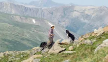 Person wearing a hat and plaid shirt hiking on rocky terrain accompanied by two black and white dogs, with mountains in the background