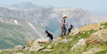 person hiking on a rocky mountain trail accompanied by two black and white dogs with mountainous landscape in the background