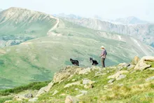 person standing with two dogs on a rocky, grassy mountain ridge with expansive mountain views in the background