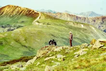 Person standing with two dogs on a rocky hill with green mountains and a winding trail in the background