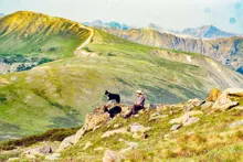 Person sitting on a rocky hill with two black and white dogs overlooking green mountains