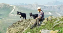 Man wearing a hat and outdoor clothing sits on a rock with two black and white dogs on a mountainous landscape