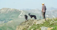 Man in a hat standing on a rocky hilltop with two black and white dogs, overlooking distant mountain peaks