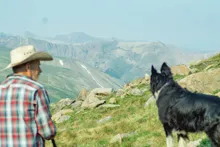 man in a cowboy hat and checkered shirt looking at a black and white dog on a rocky mountain landscape
