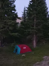 Red and turquoise tent set up among dense pine trees on grassy ground in a forested area