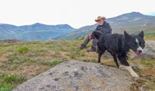 Bearded man wearing a hat sitting on a grassy hillside with a black and white dog walking in the foreground, surrounded by mountains