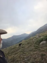 Person with a hat looking at a dog standing on grassy mountainside with hills and cloudy sky in the background