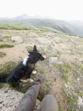 Black and white dog sitting on rocky terrain next to a person wearing gray pants and hiking boots with a mountainous landscape in the background