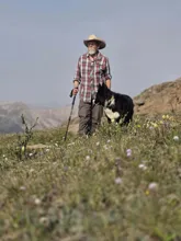 Man in a plaid shirt and cowboy hat walking with a black and white dog on a grassy hillside with wildflowers