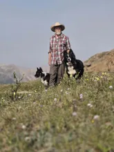 man wearing a plaid shirt and cowboy hat standing in a field with two black and white dogs