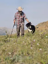 Man in a plaid shirt and straw hat walking with a black and white dog on a grassy hillside with wildflowers