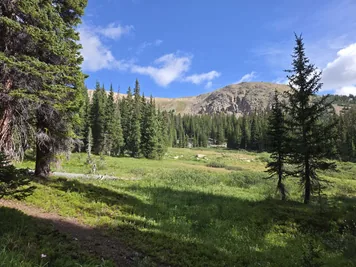 grassy clearing surrounded by evergreen trees with rocky hills under a partly cloudy blue sky