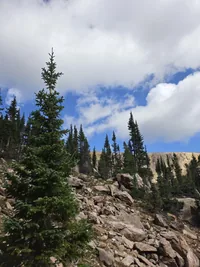 Rocky hillside with scattered evergreen trees under a partly cloudy sky