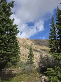 rocky mountain slope framed by pine trees and shrubs under a partly cloudy blue sky