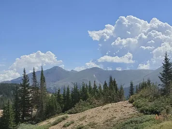 Mountain landscape with pine trees in the foreground and large cumulus clouds in a clear blue sky