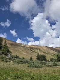 Grassy hillside with scattered evergreen trees under a partly cloudy blue sky