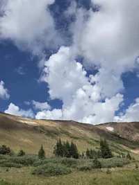 Hillside with scattered evergreen trees and patches of snow under a sky filled with large, fluffy clouds