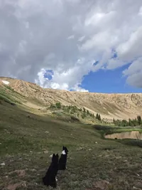 Two black and white dogs sitting on grassy terrain facing a rocky hillside under a partly cloudy sky
